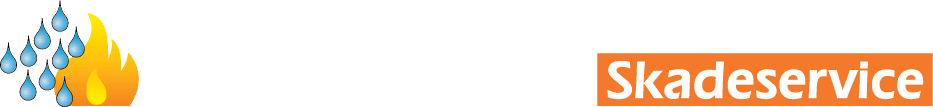 DIS-logo_hvid